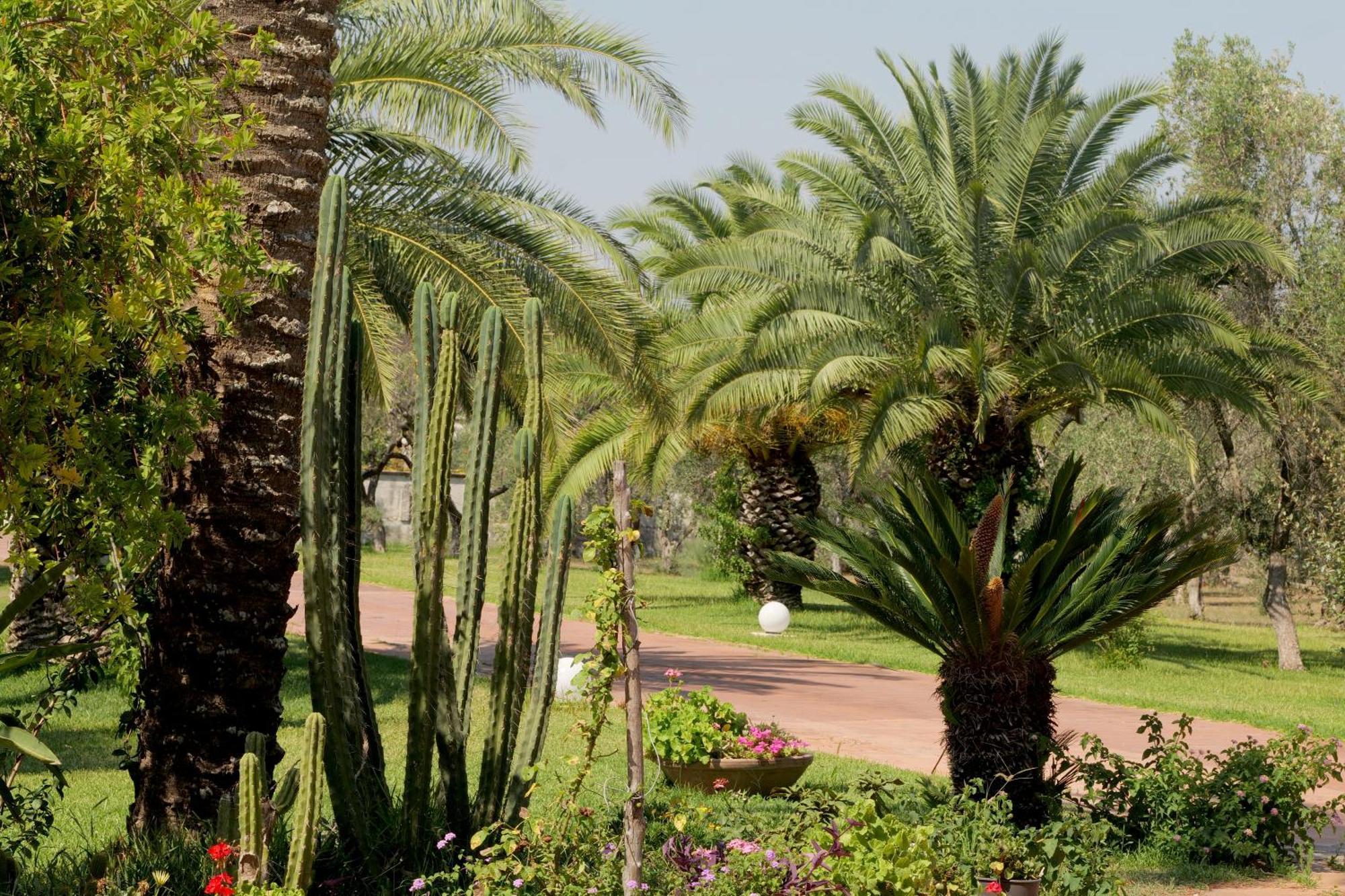 Tenuta Ricco With Pool And Garden Cursi エクステリア 写真