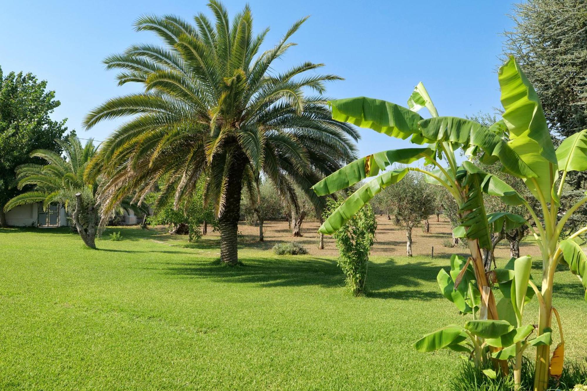Tenuta Ricco With Pool And Garden Cursi エクステリア 写真